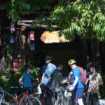 Hoi An Sustainable Bike Ride 3
