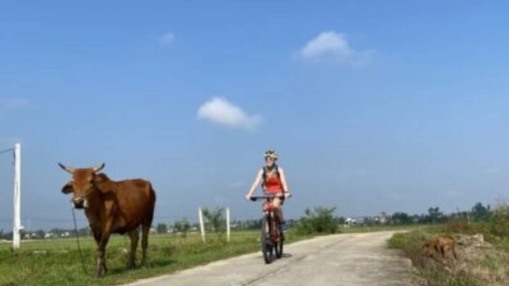 A Pleasant Ride – 40km Ride In Hoi An