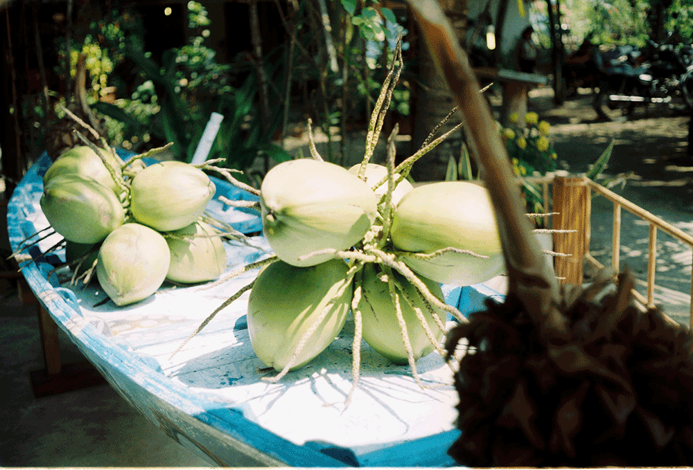 The showcase of newly gathered coconuts catches the eye, with their vibrant green husks and refreshing, clear water offering a truly local treat.