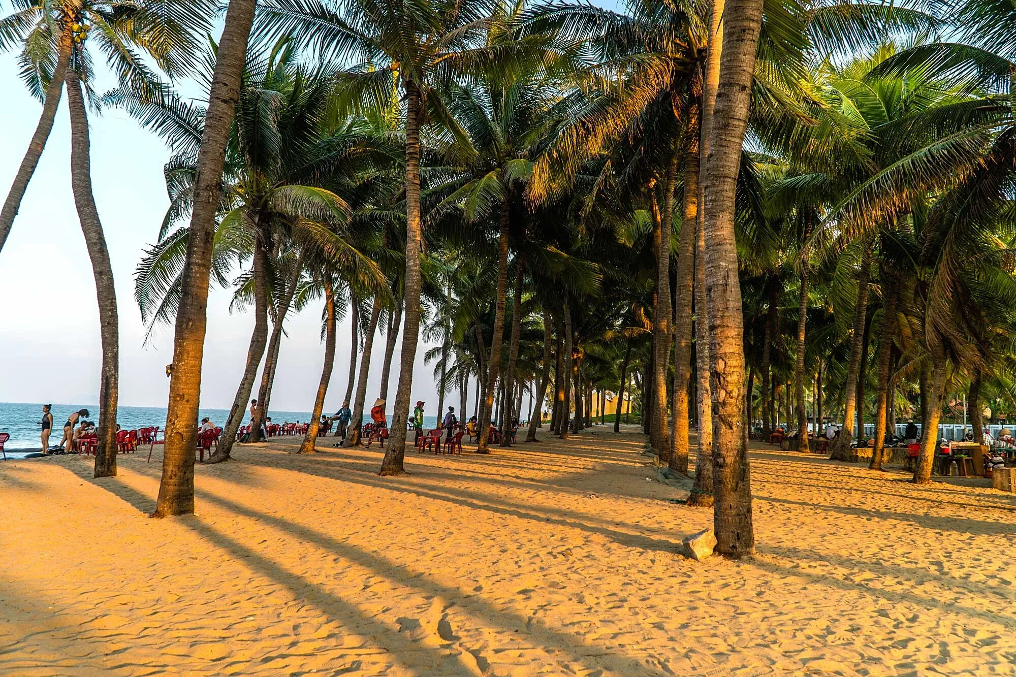 Hotels in Hoi An 9 Coconut trees and tourists at Cua Dai Beach