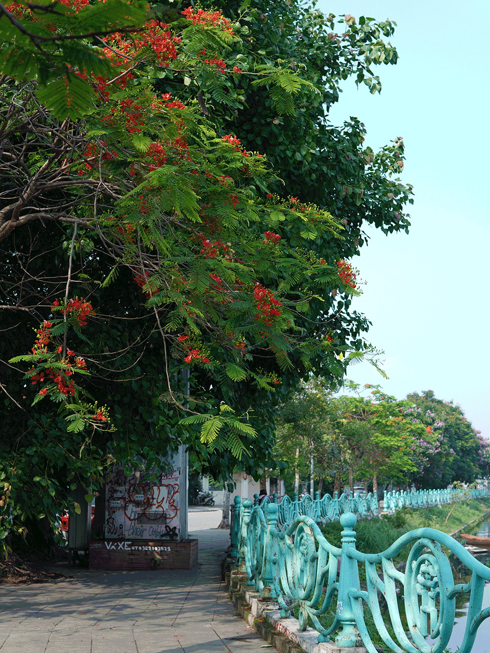 Discover Vietnam