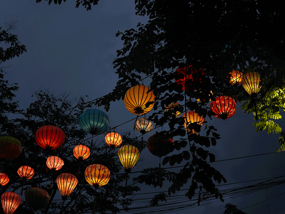 Discover Viet Nam